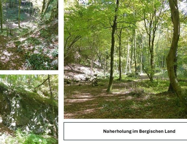 Schöne Wohnung,besonnter Balkon,Stadtrand Köln,Möbliert mit NBK - Foto 1