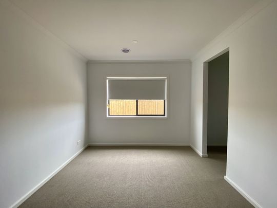 Brand New home, Low Maintenance Family Living - Photo 1