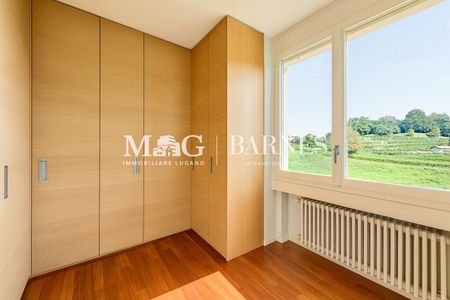 Collina d'Oro We rent: 4-room apartment with pool near TASIS - Photo 3