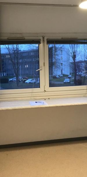 Location Appartement 1 pièce 19m² ILLKIRCH GRAFFENSTADEN 67400 - Photo 1