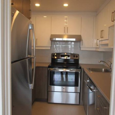 Newly renovated apartment available on March 1, 2025 ! (#1904) - Photo 3