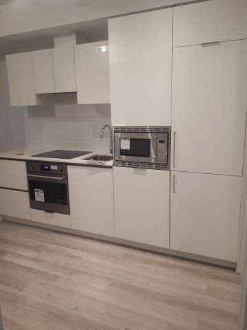 For Lease - 121 St Patrick Street Unit# 423, Toronto, Ontario - Photo 5