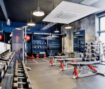 Classic Shared Apartment - Photo 6