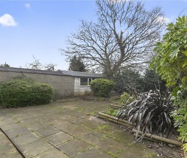 A detached three bedroom bungalow with a paddock, garage and off-st... - Photo 4