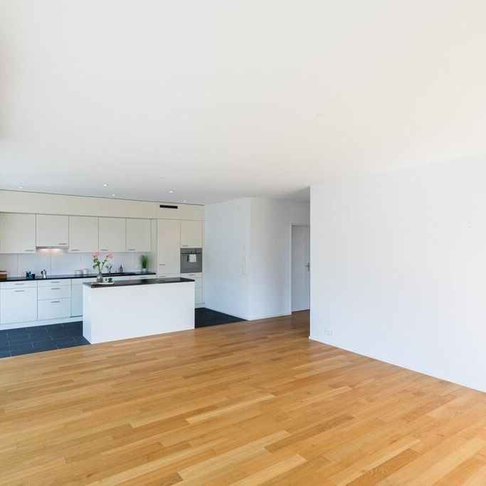 Wunderschöne 4.5 ZWG am grünen Stadtrand - Photo 1