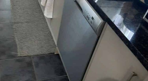 Charming 3BR Family Haven in Kelston - Photo 1