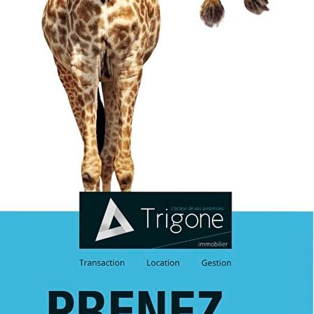 Location Appartement 2 pièces 46m² - Photo 4