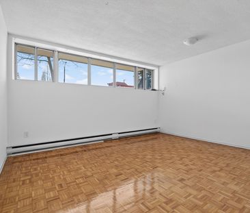For Lease - 1042 Sheppard Avenue Unit# G2, Toronto, Ontario - Photo 4