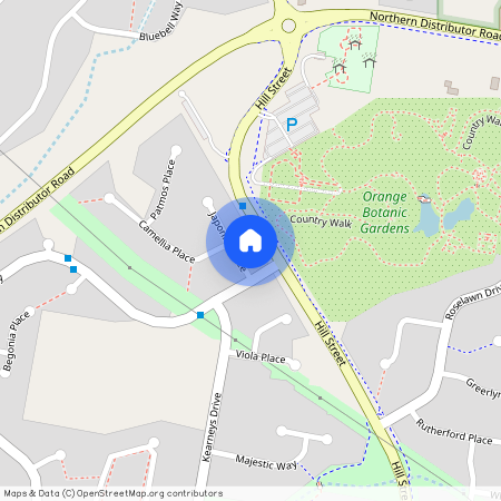 4 Japonica Place, NSW 2800, Orange