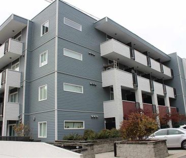 Bachelor Suite For Rent In Surrey/ Pets Allowed. - Photo 3