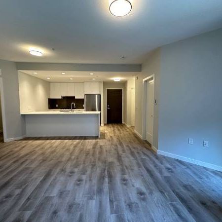 BRAND NEW One Bed Plus Den in Burquitlam - Photo 1