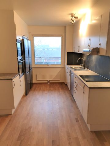 Keplers Gata 44 - Photo 5