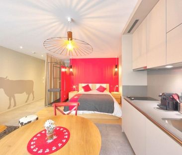 RÉSIDENCE MEUBLÉE "PETITE COUR" STUDIOS AVEC SERVICES HÔTELIER - Foto 3