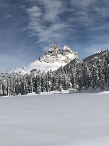 Quadrilocale via Monte Piana 10, Misurina, Auronzo di Cadore - Photo 3