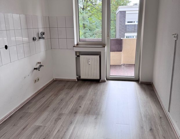 Frisch renovierte 3,5 Raum Wohnung mit Balkon - Foto 1
