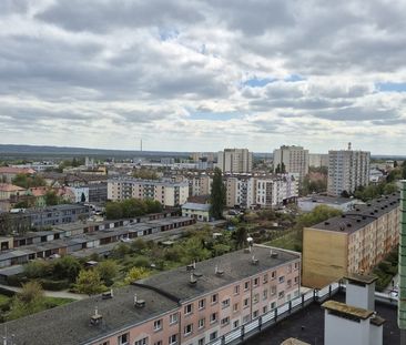 Kawalerka na wynajem z pięknym widokiem (424103) - Photo 2