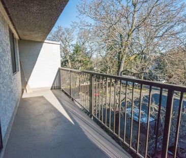 Fair Oaks Apartments — apartment/condo - Photo 2