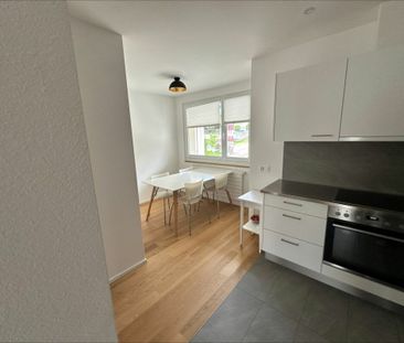 2.5 Zimmer, 49 m², 1. Stock - Foto 2