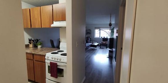 One Bedroom Apartment in the heart of Kitsilano - Photo 2