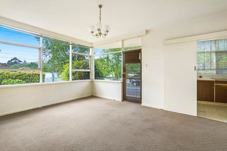 Conveniently Located Ground Floor Apartment With Brand-new Carpet - Photo 5