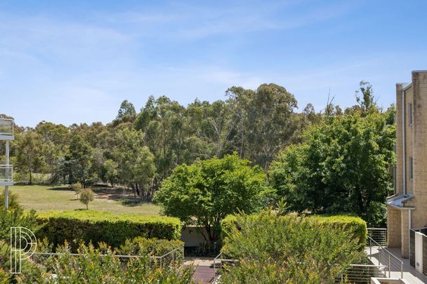 Bright and Spacious Apartment in the Heart of Belconnen - Photo 1
