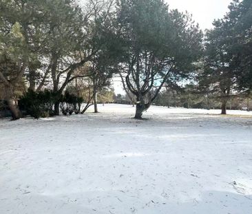 For Lease - 17 Fairway Heights Crescent Unit# Bsmt, Markham, Ontario - Photo 1