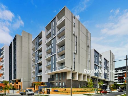 2Bedrooms, 2Bathrooms - Photo 5