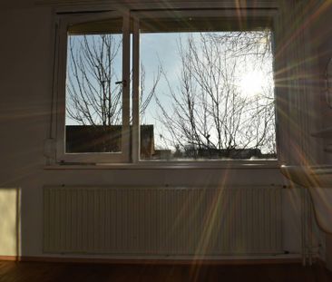 Te huur: Huis Aldendriel in Eindhoven - Photo 6