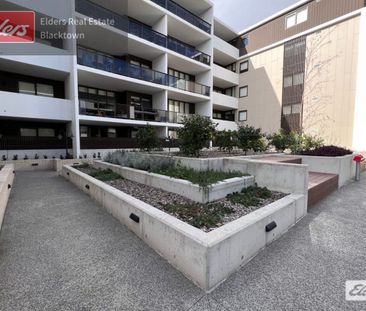 Modern, Bright & Spacious Apartment in Prime Location - Photo 2