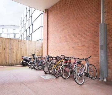 Medium High Double Studio - Photo 6