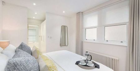 Spacious one bedroom apartment on Eaton Square - Photo 3