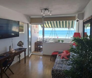 Piso en alquiler en Ronda Maestro Alonso, Número 0 - Photo 1