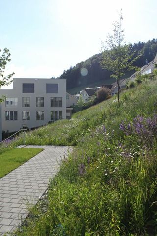 Sunny garden apartment in Eggersriet - Photo 4