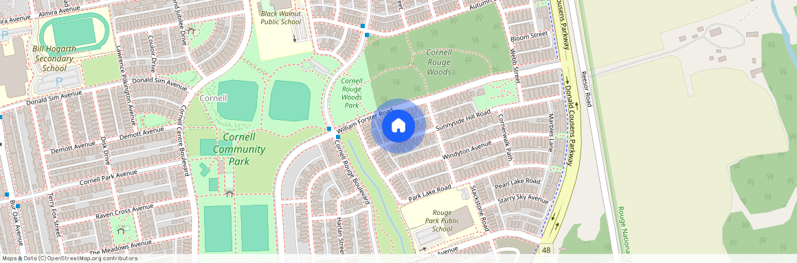 14 Sunnyside Hill Road Unit# Bsmt, Markham