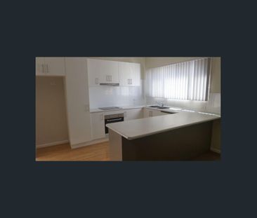 Spacious 4 bedroom home with deck - walk to CBD - Photo 2