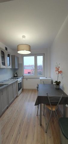 Umeblowana kawalerka na wynajem Nowogard - Zdjęcie 2