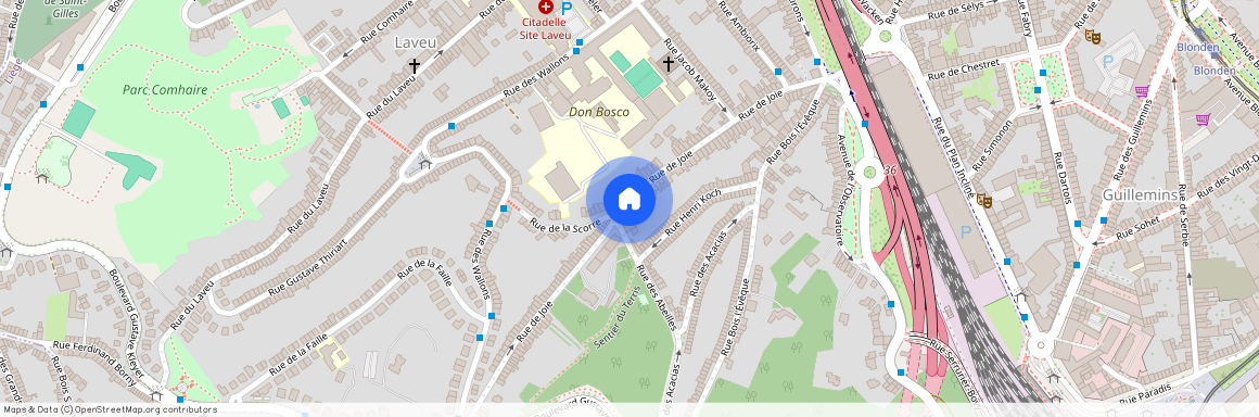 Rue De Joie, 83, 4000, Liège