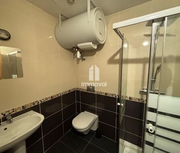 Location Appartement 1 pièce Meublé 21m² STRASBOURG 67000 - Photo 2