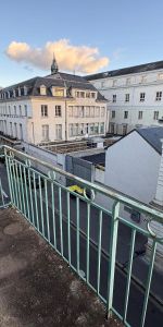 Location Appartement 1 pièce 30m² TOURS 37000 - Photo 4