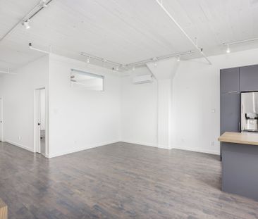 Appartement à louer à Montréal (Le Plateau-Mont-Royal) - Photo 3