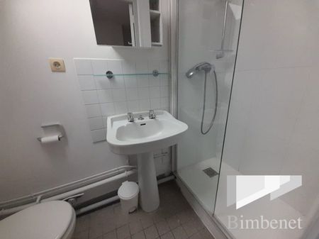 Appartement à louer, 2 pièces - Orléans 45000 - Photo 5