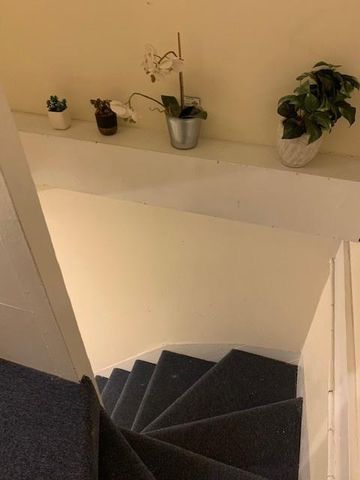 4 bedroom house to rent - Photo 4