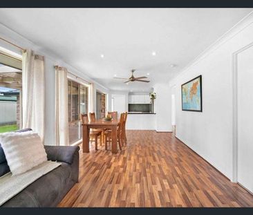 27 Sherman Drive, Upper Coomera QLD 4209 - House For Rent | Domain - Photo 3