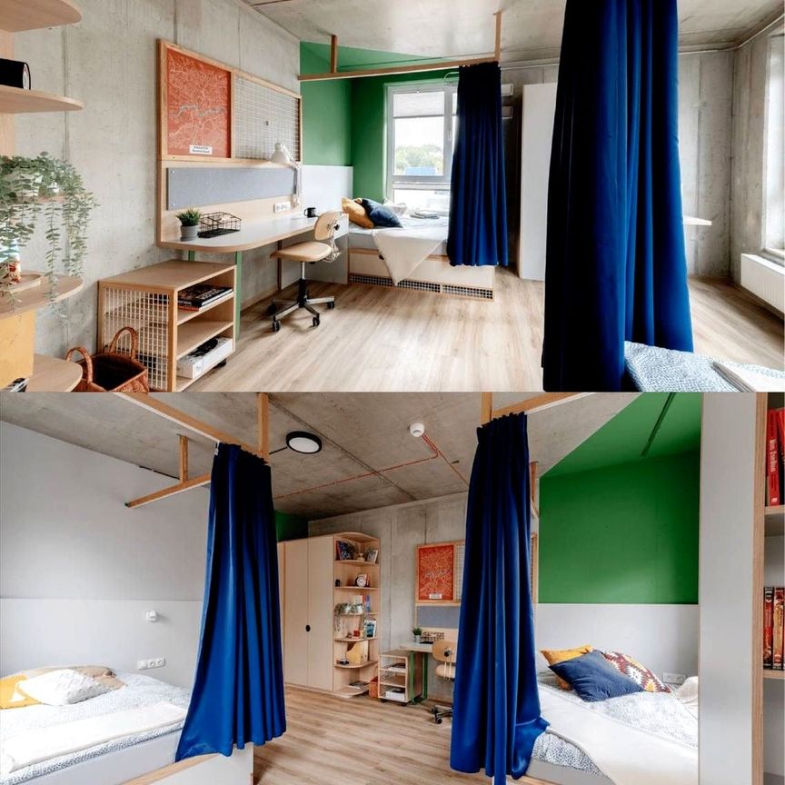 Pokój, Aleja Pokoju - Zdjęcie 1