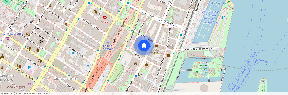 329 Rue Notre-Dame E., app. 422, Montréal (Ville-Marie), H2Y3Z2