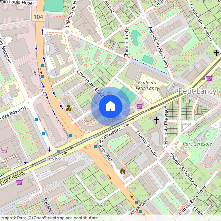 3 Chem. des Esserts, 1213 Petit-Lancy