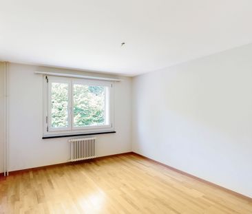 Wunderschöne Aussicht auf die Stadt Aarau - Foto 4