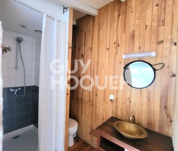 LOCATION : appartement T1 (20 m²) à TOULOUSE COTE PAVE - Photo 3