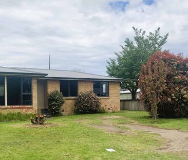 Warm, Welcoming & Walkable – Renovated Family Home Near Town - Photo 5