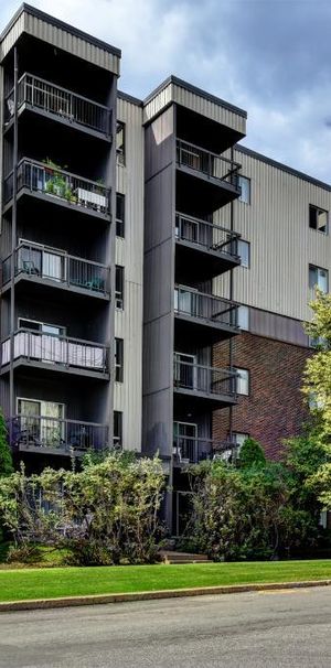 BEAU GRAND 3 ½ RÉNOVÉ, ENTRÉE LAVEUSE/SÉCHEUSE, SECTEUR PAISIBLE, 1135$/MOIS TOUT INCLUS, DISPONIBLE À PARTIR DE NOVEMBRE - Photo 1